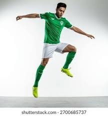 西海岸总经理：杨智、刘健、毛雷尔等人将跟随邵佳一加入国足